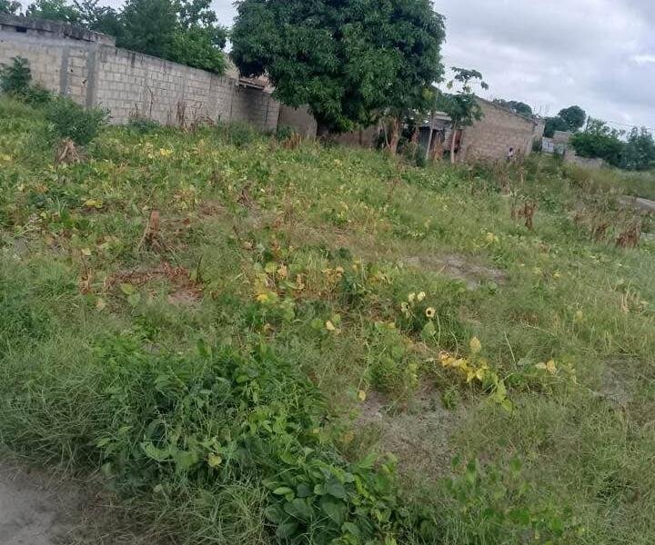 Terreno a venda